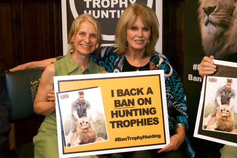 The Fight to Ban Trophy Hunting in the UK: Campaigns, Legislation and What’s Next