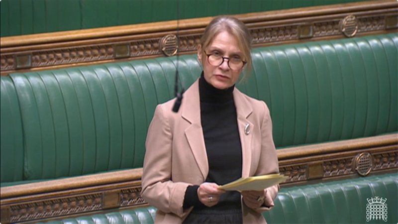 Wera Hobhouse debating the Worker Protection Act 2023 in the House of Commons
